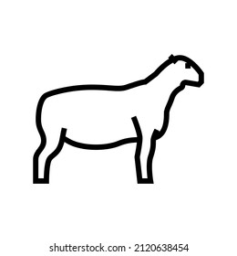 dorper sheep line icon vector. dorper sheep sign. isolated contour symbol black illustration svg