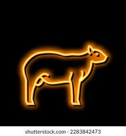 dorper sheep neon light sign vector. dorper sheep illustration svg