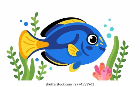 Dory Fish Beautiful Ocean Creatures