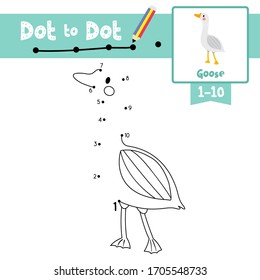 Dot to dot educational game and Coloring book of Goose animals cartoon character for preschool kids activity about learning counting number 1-10 and handwriting practice worksheet. Vector Illustration