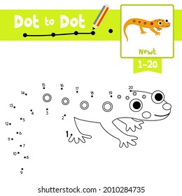 Dot to dot education game and Coloring book of Newt animal cartoon Character for preschool kids aktivität on learning counting Nummer 1-20 und handschriftliche Übungsblatt. Vektorgrafik.