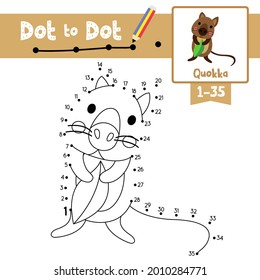 Dot to dot educational game and Coloring book of Quokka animals cartoon for preschool kids activity about counting number 1-35 and handwriting practice worksheet. Vector Illustration.