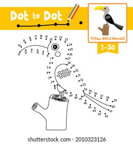 Dot to dot educational game and Coloring book of Yellow Billed Hornbill bird animals for preschool kids activity about counting number 1-50 and handwriting practice worksheet. Vector Illustration.