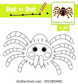 Dot to dot educational game and Coloring book of Red Knee Tarantula animals cartoon for preschool kids activity about counting number 1-20 and handwriting practice worksheet. Vector Illustration.