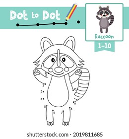 Dot to dot educational game and Coloring book of Raccoon animals cartoon for preschool kids activity about learning counting number 1-10 and handwriting practice worksheet. Vector Illustration.