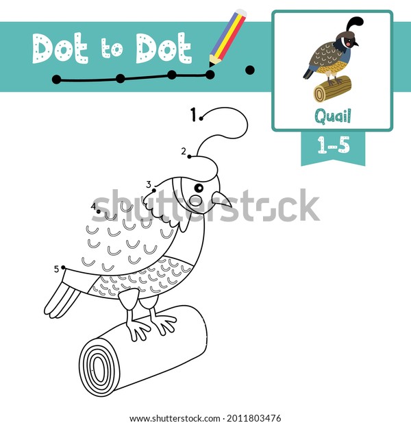 Dot to dot educational game and Coloring book of\
Quail bird perching on wood log animals cartoon for preschool kids\
activity about learning counting number 1-5 and handwriting\
practice worksheet. Vect
