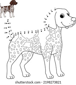 Dot To Dot German Shorthaired Pointer Dog Isolated