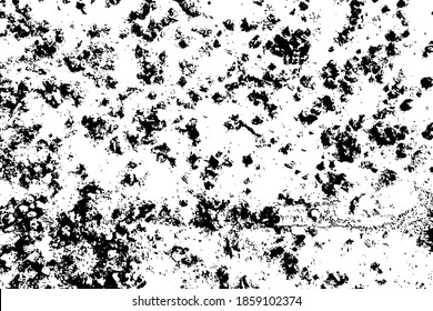 Dot noise particle small fruit natural irregular texture mottled material vector illustration black white art