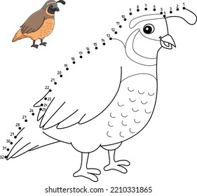 Dot to Dot Quail Animal Isolated Coloring Page