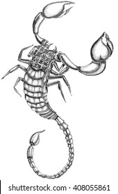  dot of scorpion isolated on white. Vector illustration. Black and white