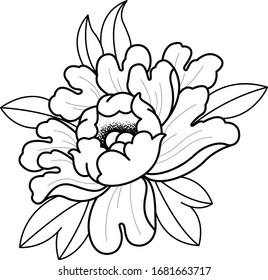 dot work peony tattoo sketch 