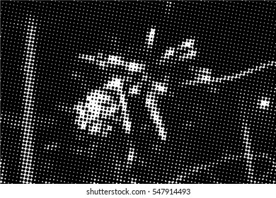  Dots Grunge Texture. Vector.