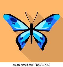 Dotted blue butterfly icon. Flat illustration of dotted blue butterfly vector icon for web design