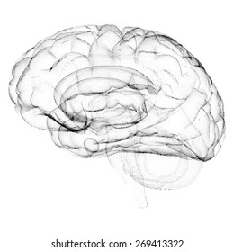 Dotted brain image