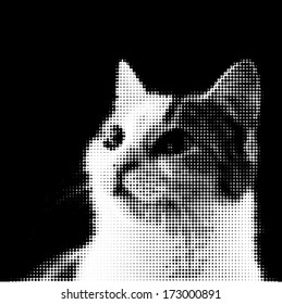 Dotted cat in black background