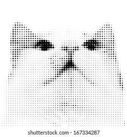 Dotted cat in black and white 