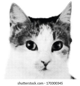 Dotted cat in black and white 