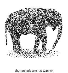 Dotted elephant calf
