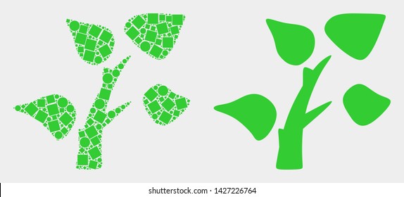 Dotted and flat tree plant icons. Vector mosaic of tree plant organized of irregular square elements and round dots.