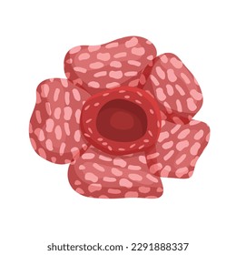 Vector de dibujos animados de iconos de flores punteadas. Flor roja. Arnoldii botánico
