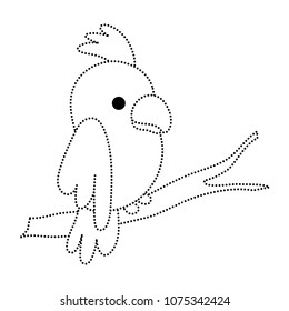 dotted shape beauty parrot bird animal in the branch