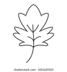 dotted shape nature leaf autumn season weather