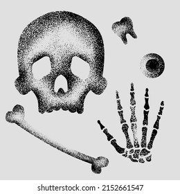 Skeleton Dotado Set Skull Hone Hand Eye Tooth