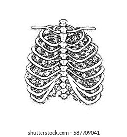 Dotwork Skeleton with Blossom. Vector Illustration of Boho Style T-shirt Design. Hipster Tattoo Hand Drawn Sketch.