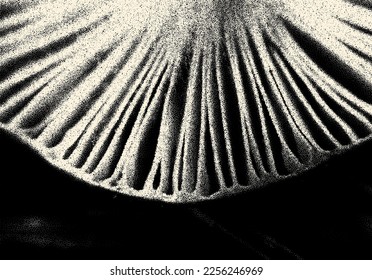 Dotwork styled tiny mushroom plates for cooking or kitchen retro styled background. Vintage food poster.