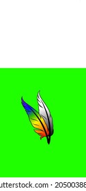 Double bird feathers of rainbow illustrations 