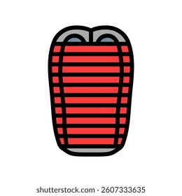 double cocoon sleeping bag color icon vector. double cocoon sleeping bag sign. isolated symbol illustration
