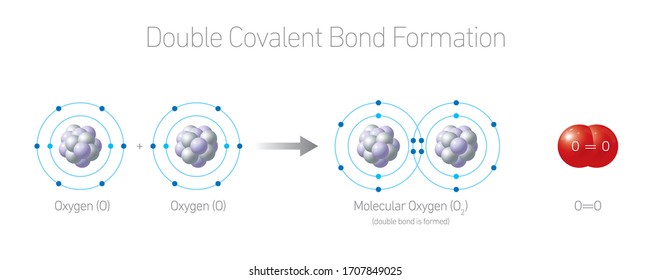 Double Covalent Bond Formation - Molecular Oxygen O2 isotopes / Chemistry Vector Illustration