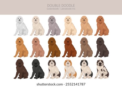 Doppelter Doodle-Clipart. Labradoodle - Goldendoodle-Mischung. Verschiedene Fellfarben eingestellt.  Vektorgrafik