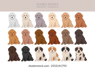 Doppelter Doodle-Clipart. Labradoodle - Goldendoodle-Mischung. Verschiedene Fellfarben eingestellt.  Vektorgrafik