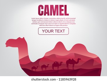 Double exposition of the camel. Vector illustration with a clipping mask in an abstract style 