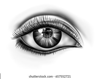 Double exposure drawing of contact eye close-up with black and white background , Look at nature and tree branch on the future