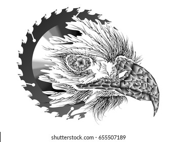 Double exposure drawing for eagle and tree , Drawing of eagle eye close-up with black and white background