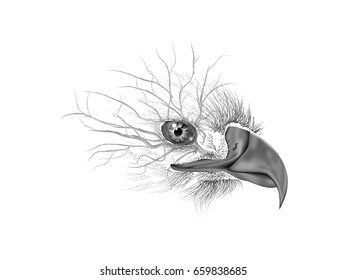 Double exposure drawing for eagle and tree branch , Drawing of eagle eye close-up with black and white background