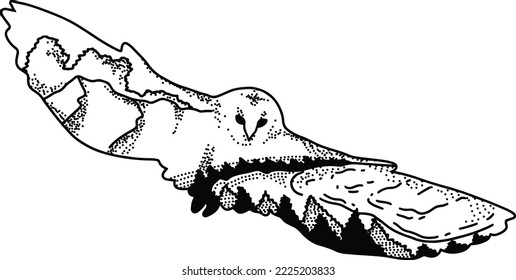 Double exposure of flying owl hand drawn illustration