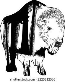 Double exposure hand drawn vintage black and white animal illustration - Bison