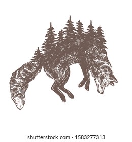 Double exposure of jumping hunting fox and fir forest. Symbol or sign of environment, wildlife and ecology. Silhouette concept for emblem. Sketch detailed hand drawn illustration