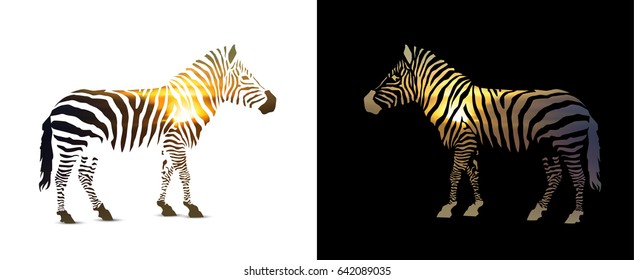 Double exposure. Zebra silhouette with sunset horizon on stripes. Black and white background.