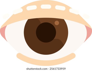 double eyelid surgery blepharoplasty plastic surgery