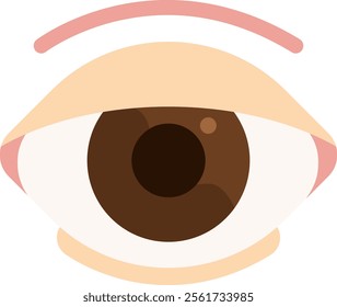 double eyelid surgery blepharoplasty plastic surgery