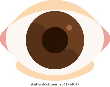 double eyelid surgery blepharoplasty plastic surgery