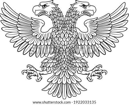 Double headed eagle with two heads possibly a Roman Russian Byzantine or imperial heraldic symbol
