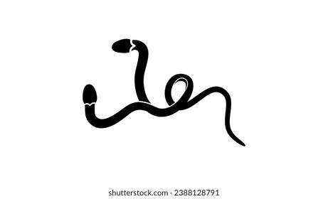 Double headed snake, black isolated silhouette