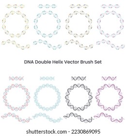 Conjunto de pincel de vectores de ADN de Helix doble