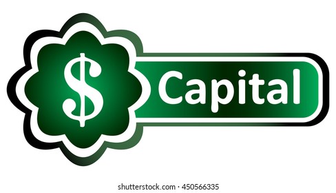 Double icon green capital