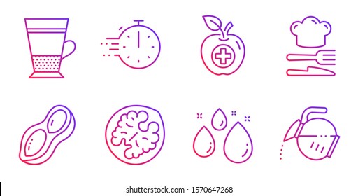 Double latte, Cooking timer and Medical food line icons set. Walnut, Peanut and Food signs. Water drop, Coffee pot symbols. Tea cup, Stopwatch. Food and drink set. Gradient double latte icon. Vector